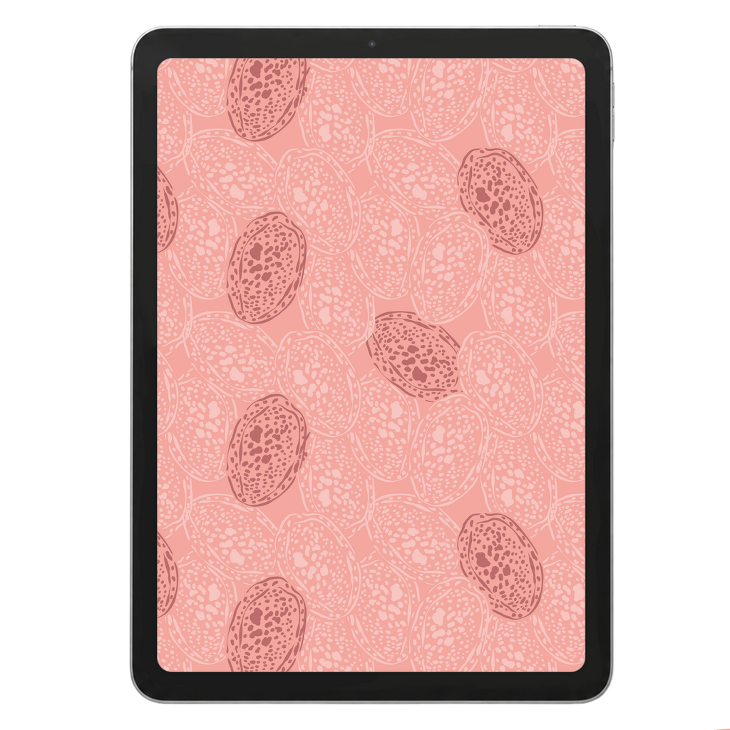 Cowrie Shells Repeat Surface Pattern #1143