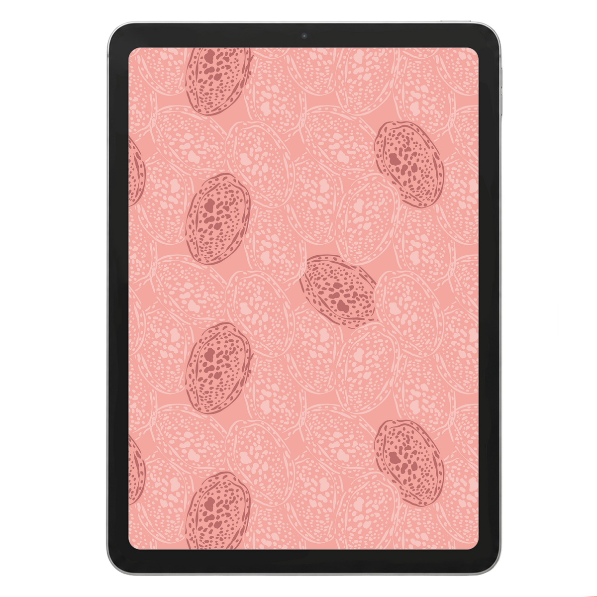 Cowrie Shells Repeat Surface Pattern #1143