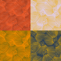 Exclusive Ohia Lehua Repeat Surface Pattern for Farren