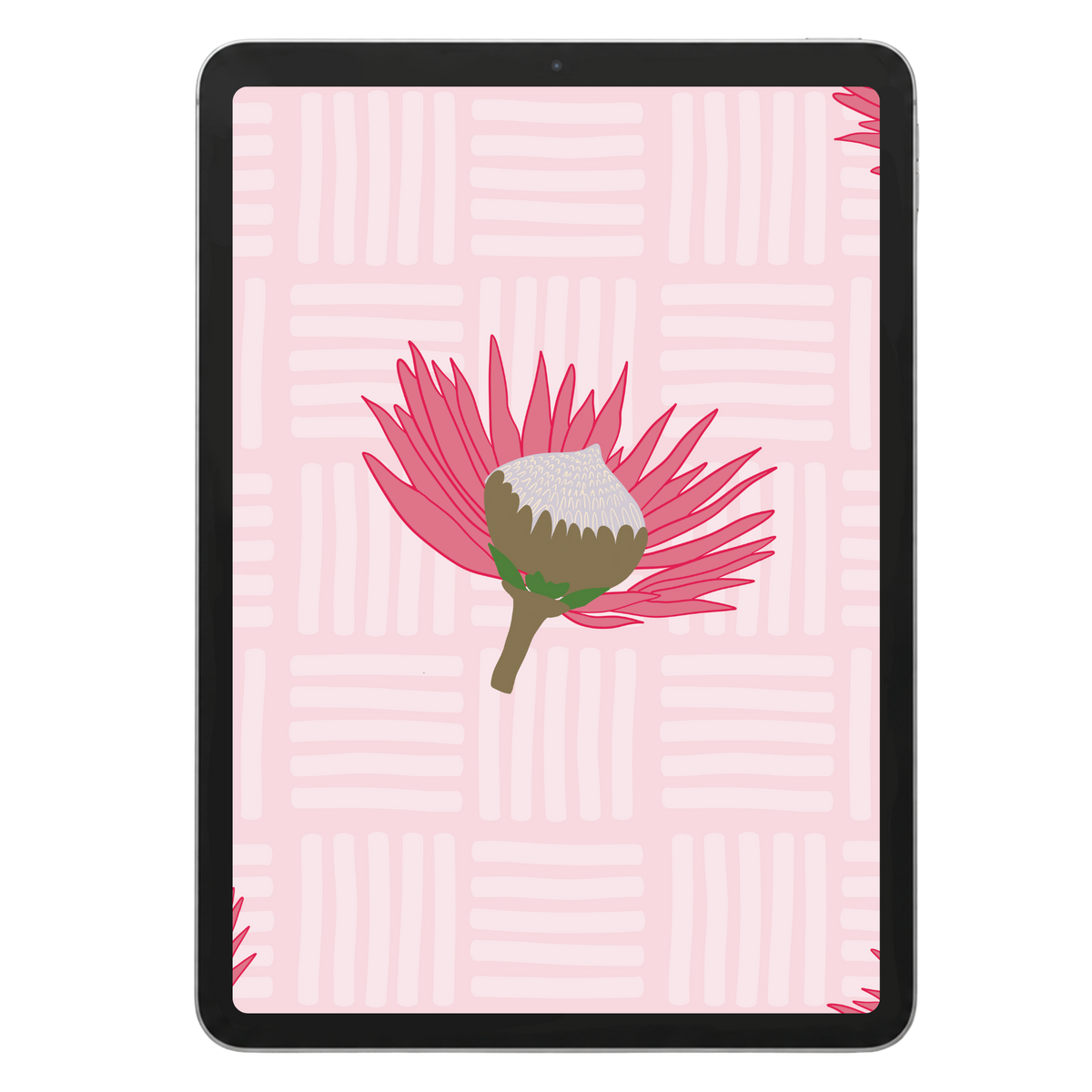Protea Surface Pattern #1615