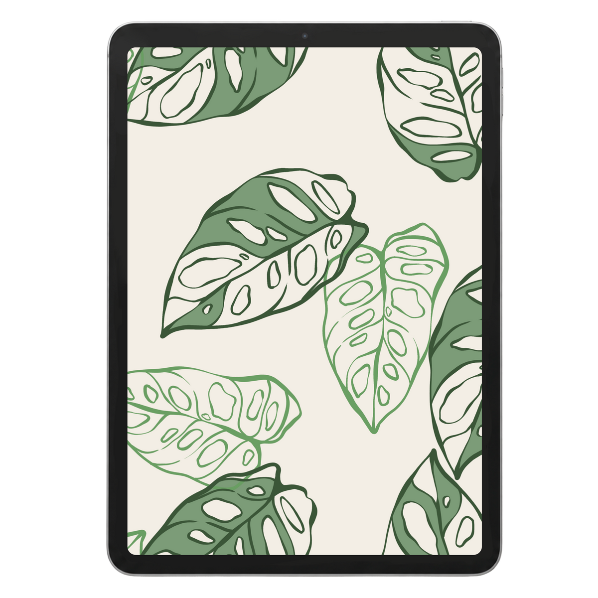 Monstera Lechleriana Repeat Surface Pattern #108